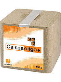 Calseaoligo-bloc