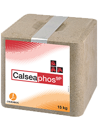 Calseaphos-9p