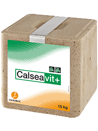 calseavit